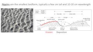 3  Unidirectional bedforms [upl. by Domella616]