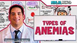 Hematology  Types of Anemias [upl. by Mccallion]