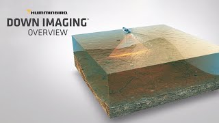 What is Down Imaging and How to Read It  Humminbird [upl. by Enalahs921]