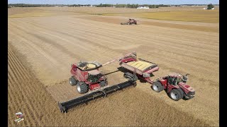 2020 Soybean Harvest with Dick Lavy Farms [upl. by Anitnas]