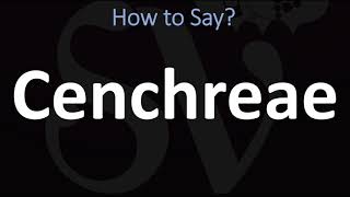 How to Pronounce Cenchreae CORRECTLY [upl. by Annohsed]