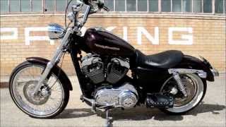 2007 Harley Davidson 1200 custom sportster walk around and start up LOUDHD [upl. by Ravid]