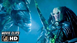 AVP Alien vs Predator  Movie Review [upl. by Nnylatsirk]