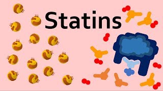 Statins and Cholesterol [upl. by Issim]