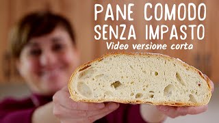 PANE COMODO FATTO IN CASA SENZA IMPASTO  Ricetta Facile Video Live versione corta [upl. by Luemas731]