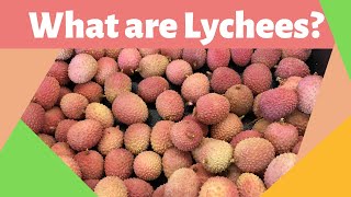 What are lychees Fruit [upl. by Cadal]