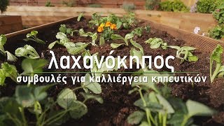 🥬 Καλλιέργεια λαχανικών και δημιουργία λαχανόκηπου  Τα Μυστικά του Κήπου [upl. by Chitkara637]