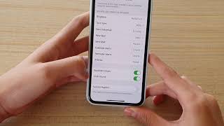 iPhone 11 Pro How to Enable  Disable System Haptics [upl. by Samid]