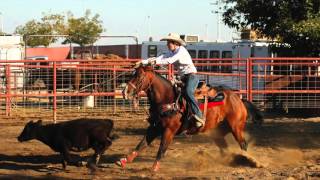 Bulldoggers  Fresno State Rodeo Team [upl. by Ahsertal445]