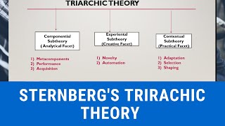 STERNBERGS TRIARCHIC THEORY OF INTELLIGENCE [upl. by Mathew448]