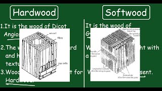 Hardwood vs Softwood Quick Difference and Comparisons [upl. by Notwal]