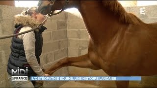 Losthéopathie équine une histoire landaise [upl. by Alokin372]