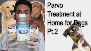 Parvo Treatment at Home for Dogs  Puppies with Parvovirus Pt2 [upl. by Aicatsan]