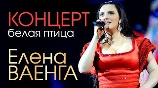 Елена ВАЕНГА  БЕЛАЯ ПТИЦА КОНЦЕРТ [upl. by Angy936]