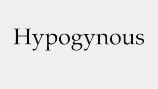 How to Pronounce Hypogynous [upl. by Kramnhoj]