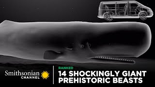 14 Shockingly Giant Prehistoric Beasts 🐋 Smithsonian Channel [upl. by Korff]