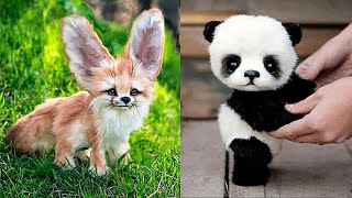 10 Cutest Baby Animals You Need To Pet [upl. by Mandler81]