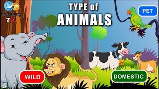 Types of Animals  Wild Domestic Pet [upl. by Aidas406]