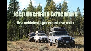 The 22500 Mammoth Overland Trailer Walkaround [upl. by Oznole]