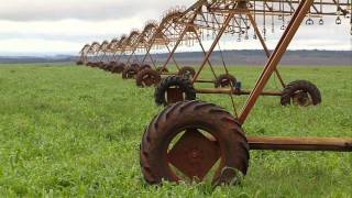 Pesquisa inédita mapeia o uso da água na agricultura irrigada no país [upl. by Ardni]