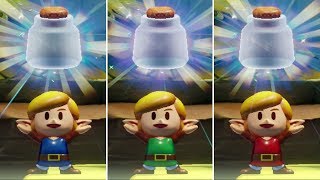 Zelda Links Awakening Switch  All Fairy Bottle Locations [upl. by Acinoda391]