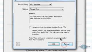 Convert MP3 To M4A Using iTunes [upl. by Lipcombe]