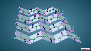 Proteins and their Structure [upl. by Vokay]