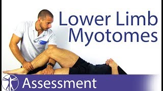 Myotomes Lower Limb  Peripheral Neurological Examination [upl. by Groves277]