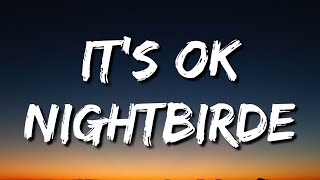 Nightbirde – It’s Okay Lyrics [upl. by Aldric217]