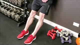 Bodyweight Tibialis Raise  Fix Shin Splits [upl. by Noyes]