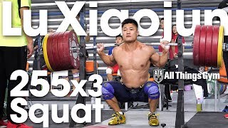 Lu Xiaojun 🇨🇳 255kg  562lbs x3 Squat Session 2018 World Championships Training Hall 4k [upl. by Rocco]