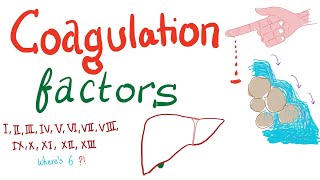 Factor VIII and Hemophilia A [upl. by Eidnyl908]