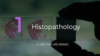 Histopathology [upl. by Aihtnic]