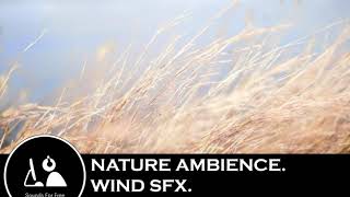 Sound Effects  Nature ambience Wind SFX [upl. by Wenz]