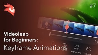 Enlight Videoleap for Beginners Keyframe Animations [upl. by Nepsa259]