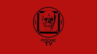 Live at the Danceteria  Psychic TV [upl. by Akered]