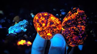 Incredible GLOWING Yooperlite Rocks BLUE Crystals Garnets and MORE Found in Michigan [upl. by Spieler]