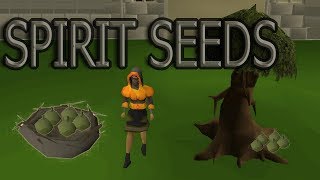 OSRS  Spirit seeds GUIDE [upl. by Kimmel332]