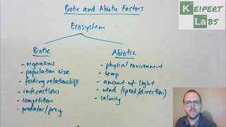 Biotic and Abiotic Factors [upl. by Ellehcrad]