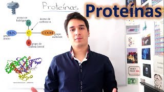 Proteínas y Aminoácidos UN MES DE CLASES EN 10 MINUTOS [upl. by Pincus546]