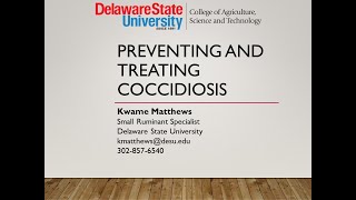 Preventing and treating coccidiosis [upl. by Einomrah]