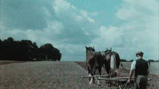 English Harvest 1938 [upl. by Attekahs292]