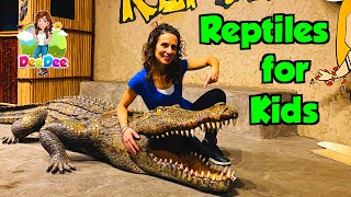 Reptiles for Kids  Educational Videos [upl. by Adnauq]