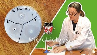 Microbiology  GCSE Science Required Practical Triple [upl. by Ezmeralda]