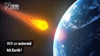 Will an asteroid hit Earth  Natural History Museum [upl. by Chouest263]