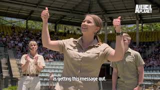 Moving The Biggest Croc At Australia Zoo  Crikey Its The Irwins [upl. by Aierdna41]