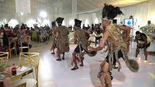 Zimbabwe Traditional Dance Performance  Wedding [upl. by Yllak931]