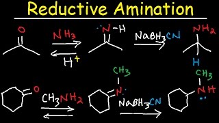 Reductive Amination of Ketones amp Aldehydes With NaBH3CN [upl. by Dollar]