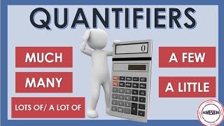 Quantifiers  English Grammar [upl. by Urana]