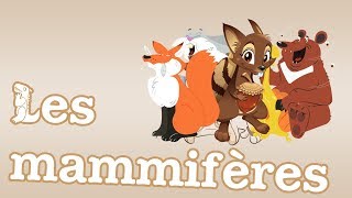 Apprendre le français  Les mammifères 🐁🐇🐆  Vocabulaire [upl. by Wearing143]